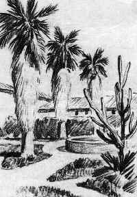 History of Santa Barbara 3 | California Missions The beautiful garden inside Mission Santa Barbara