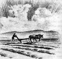 History of La Soledad 4 | California Missions Farming in the Salinas Valley